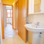 Garda Orange - Italian Homing